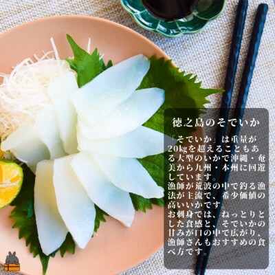 徳之島の漁師が荒波で釣り上げたそでいか 冷凍お刺身用小分け柵 1.5kg(約15人前)