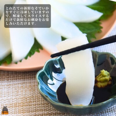 徳之島の漁師が荒波で釣り上げたそでいか 冷凍お刺身用小分け柵 1.5kg(約15人前)