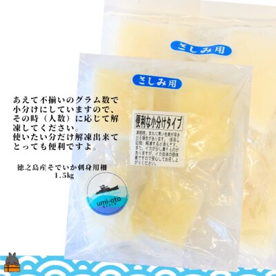 徳之島の漁師が荒波で釣り上げたそでいか 冷凍お刺身用小分け柵 1.5kg(約15人前)