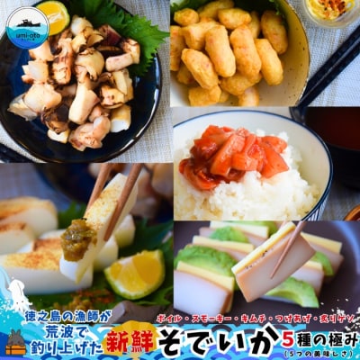 徳之島の漁師が荒波で釣り上げたそでいか 5種の極み ボイル・スモーキー・いかキムチ・つけあげ ・げそ