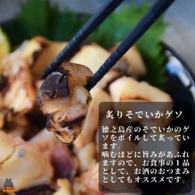 徳之島の漁師が荒波で釣り上げたそでいか 5種の極み ボイル・スモーキー・いかキムチ・つけあげ ・げそ