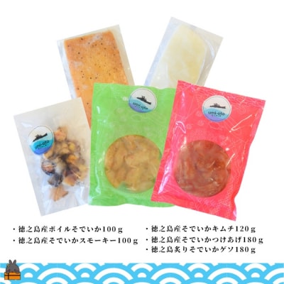 徳之島の漁師が荒波で釣り上げたそでいか 5種の極み ボイル・スモーキー・いかキムチ・つけあげ ・げそ