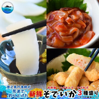 徳之島の漁師が荒波で釣り上げたそでいか 3種盛り お刺身・いかキムチ・つけあげ