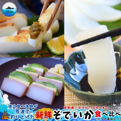 徳之島の漁師が荒波で釣り上げたそでいか 食べ比べ お刺身・ボイル・スモーキー