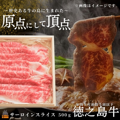南原(はいばる)牧場 幻の徳之島牛 サーロインスライス 500g