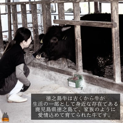 南原(はいばる)牧場 幻の徳之島牛 カルビ焼肉 300g