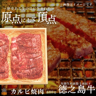 南原(はいばる)牧場 幻の徳之島牛 カルビ焼肉 600g