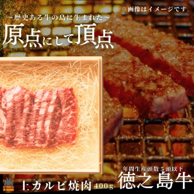 南原(はいばる)牧場 幻の徳之島牛 上カルビ焼肉 400g