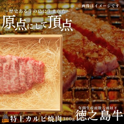 南原(はいばる)牧場 幻の徳之島牛 特上カルビ焼肉 300g