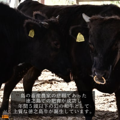 南原(はいばる)牧場 幻の徳之島牛 特上カルビ焼肉 300g