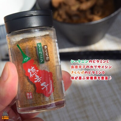 島唐辛子は別格の辛さ!徳之島の徳辛子(とくがらし)17g×3