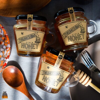 TOKUNOSHIMAの純粋ハチミツ(180g×3個)( はちみつ 調味料 徳之島 世界自然遺産 )