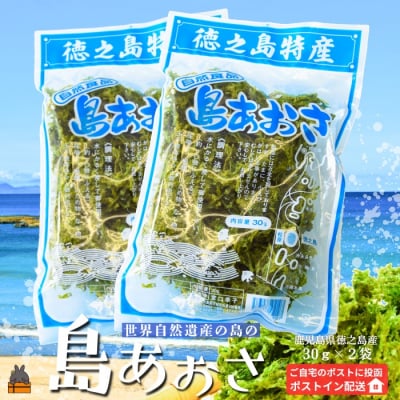 【2026年とれたて!】煌きの海からの恵み!島あおさ(2袋)【ポストイン配送】