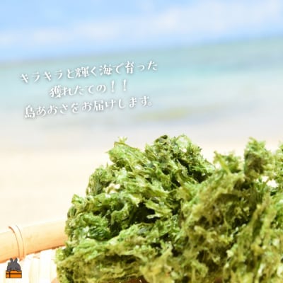 【2026年とれたて!】煌きの海からの恵み!島あおさ(2袋)【ポストイン配送】