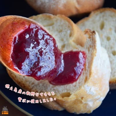 徳之島産すもも使用!低糖度の徳之島すももジャム(100g)