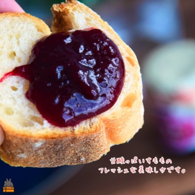 徳之島産すもも使用!低糖度の徳之島すももジャム(100g)