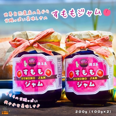 徳之島産すもも使用!低糖度の徳之島すももジャム(100g×2)