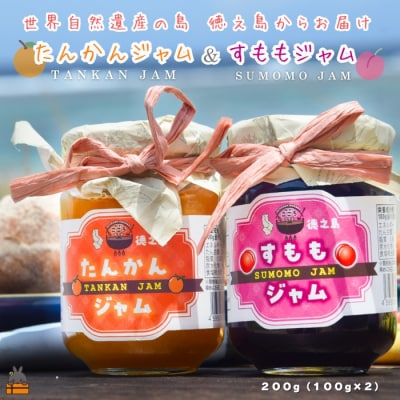 徳之島産フルーツ使用!低糖度の徳之島完熟たんかんジャム&すももジャム(100g×2) 