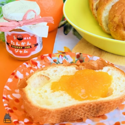 徳之島産フルーツ使用!低糖度の徳之島完熟たんかんジャム&すももジャム(100g×2) 