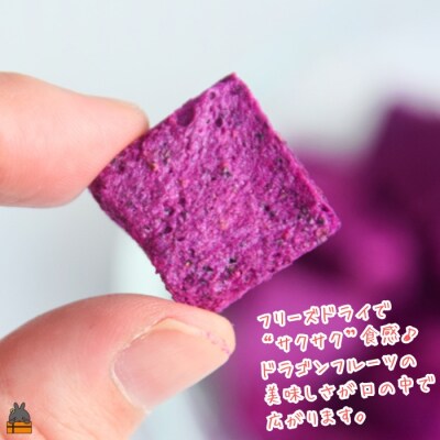 ドラゴンフルーツ 徳之島 宝赤(ほうせき)フリーズドライ(キューブ×2袋)