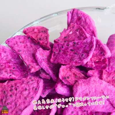 ドラゴンフルーツ 徳之島 宝赤(ほうせき)フリーズドライ(チップス&キューブ各1袋)