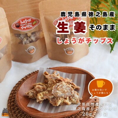 徳之島産生姜そのまま しょうがチップス(20g×3袋)