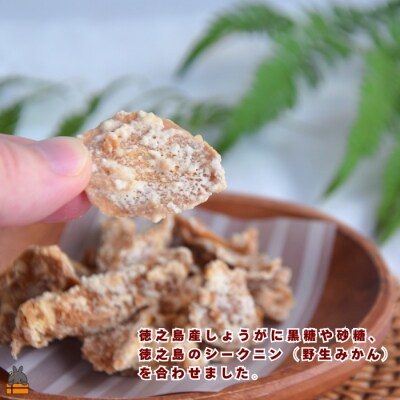 徳之島産生姜そのまま しょうがチップス(20g×3袋)
