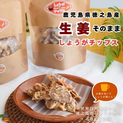 徳之島産生姜そのまま しょうがチップス(60g×2袋)