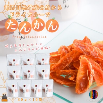 ～柑橘の爽やかな甘み凝縮!～徳之島産ドライフルーツたんかん(10袋)