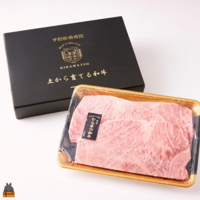 土から育てる和牛 鹿児島 ひらまつ和牛 サーロインステーキ 600g (200g×3)