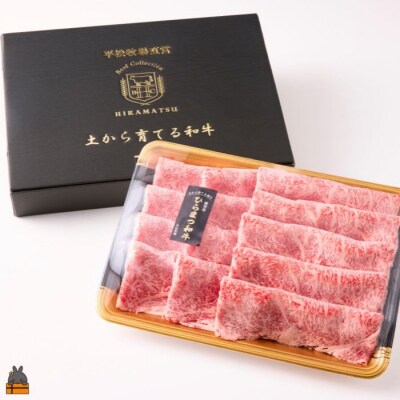 土から育てる和牛 鹿児島 ひらまつ和牛 特選ロースすき焼き 600g