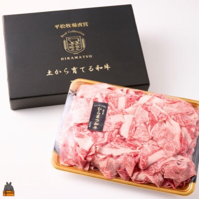 土から育てる和牛 鹿児島 ひらまつ和牛 切り落とし 800g