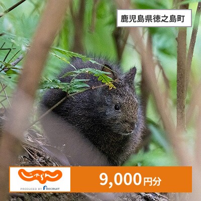 【じゃらんふるさと納税クーポン】 鹿児島県徳之島町でつかえる9,000円 クーポン