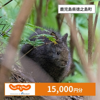 【じゃらんふるさと納税クーポン】 鹿児島県徳之島町でつかえる15,000円 クーポン