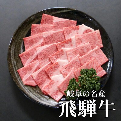 [A5等級]飛騨牛焼肉用500g　ロース又は肩ロース肉