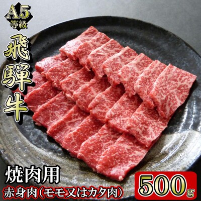 [A5等級]飛騨牛赤身肉焼肉用500g　モモ又はカタ肉