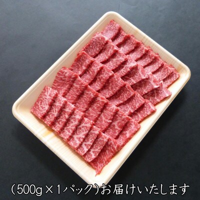 [A5等級]飛騨牛赤身肉焼肉用500g　モモ又はカタ肉