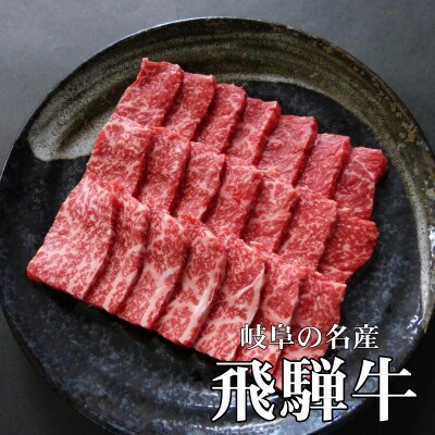 [A5等級]飛騨牛赤身肉焼肉用500g　モモ又はカタ肉