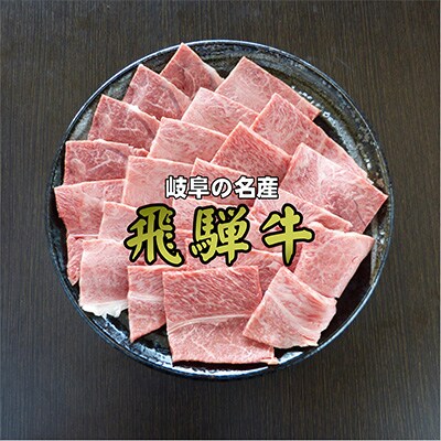 2023年2月発送開始『定期便』A5等級飛騨牛【赤身肉】焼き肉用約1kg全12回