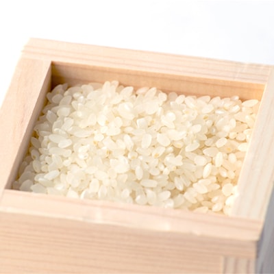 ノナカデリカの自家製米 10kg(5kg×2袋)