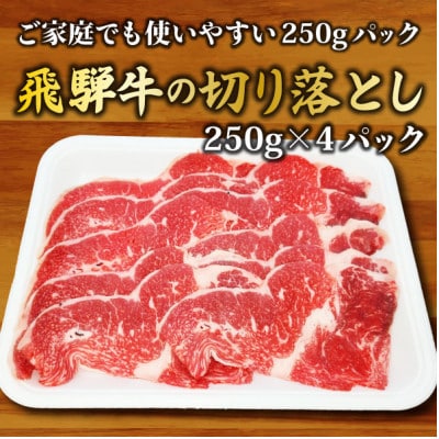 うしの家の飛騨牛切り落とし　1kg(250g×4パック)　
