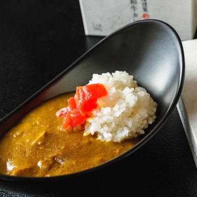 丸小本店 老舗肉屋の【特製】国産　黒毛和牛カレー 1人前200g× 6個セット　レトルト