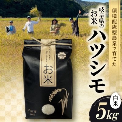 環境配慮型農業で育てた　岐阜県のお米　ハツシモ　5kg (白米)