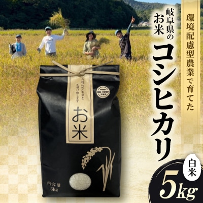 環境配慮型農業で育てた　岐阜県のお米　コシヒカリ　5kg (白米)