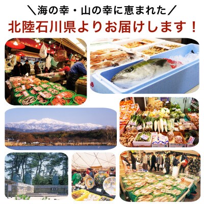 さわら西京漬け 9切