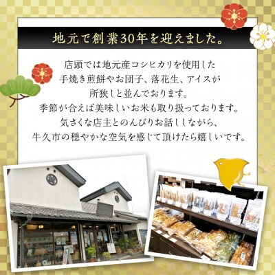 手作処かっぱ本舗のうす焼き煎餅詰め合わせ(54枚入り)