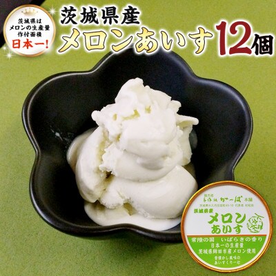 手作処かっぱ本舗の茨城県産メロンあいす　12個入り