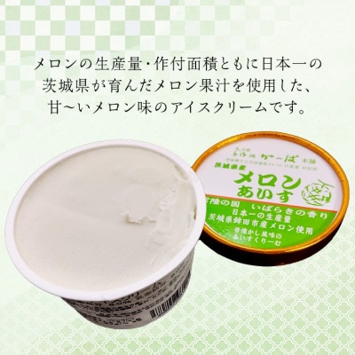 手作処かっぱ本舗の茨城県産メロンあいす　6個入り