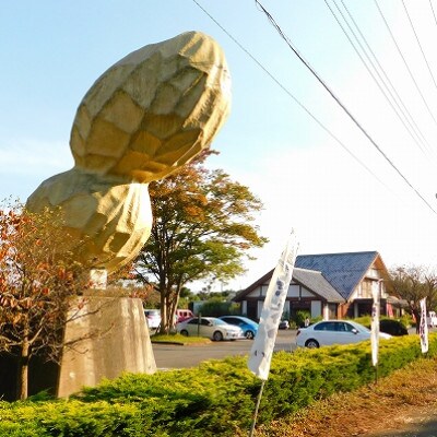 いしじま特製干し芋1.74kg【茨城県産紅はるか100%使用】