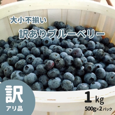 大小不揃い　訳ありブルーベリー　1kg